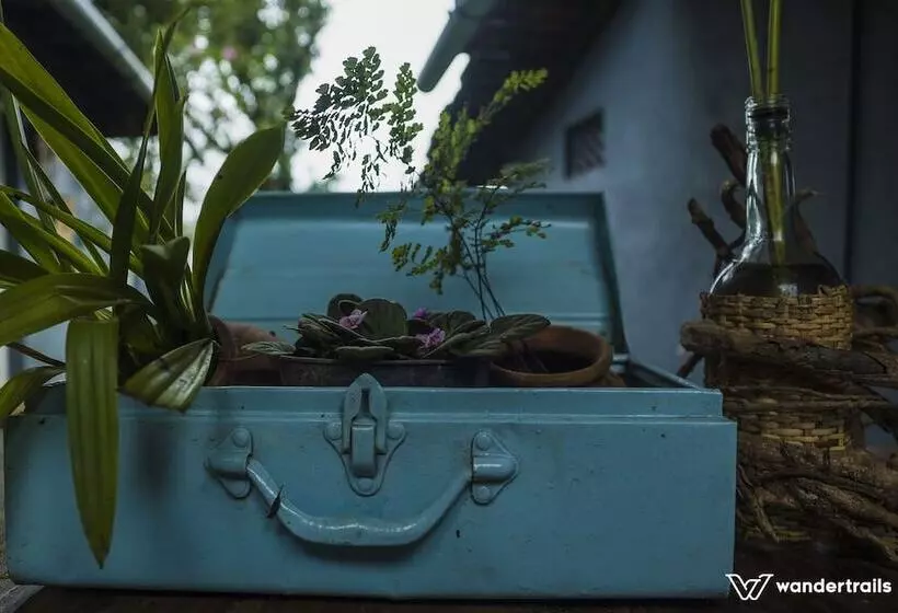 ペンション Bungalow 1934   A Wandertrails Showcase
