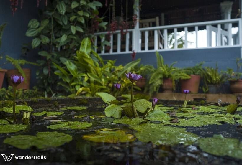 بنسيون Bungalow 1934   A Wandertrails Showcase