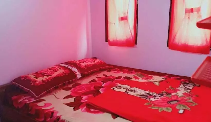 ペンション Livia Homestay