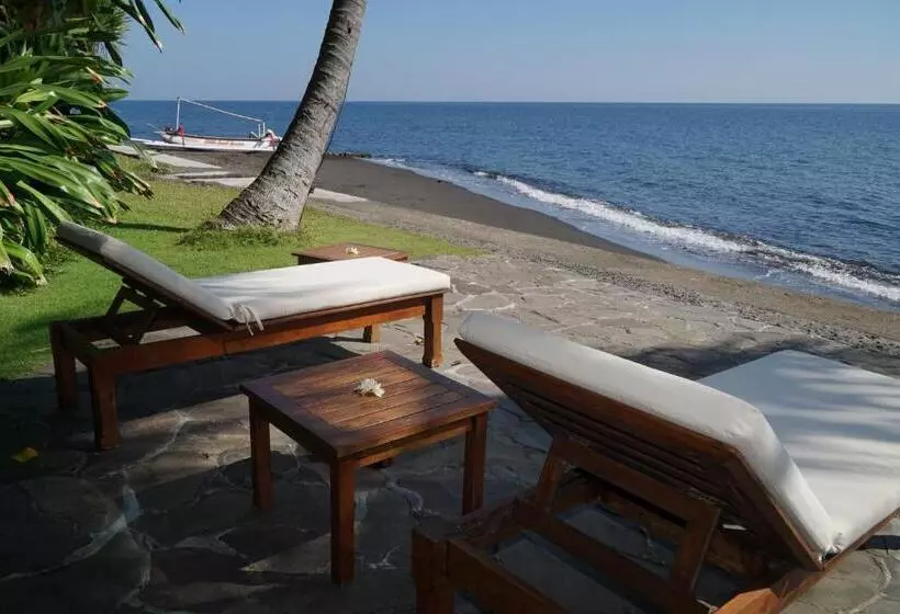 Hotelli Ciliks Beach Garden