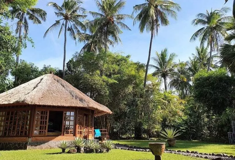 Hotelli Ciliks Beach Garden