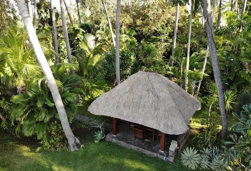 Hotelli Ciliks Beach Garden