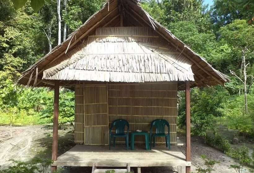 ペンション Raja Ampat Diva Homestay