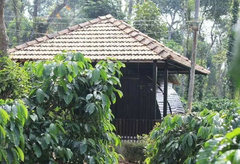 Lomakeskus Muccole Stay