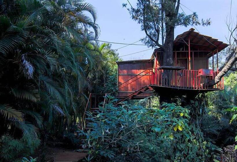 Sherbaug A Theme Park & Resort