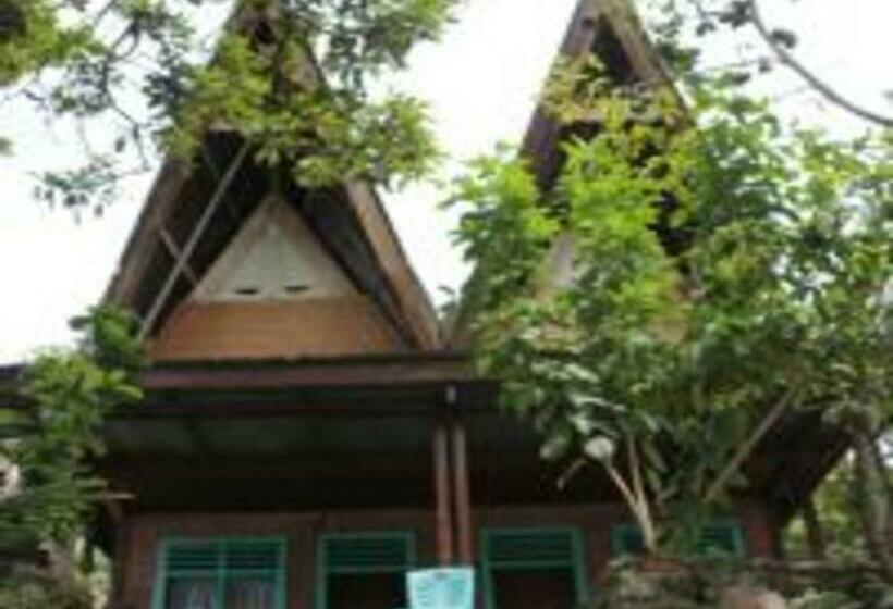 פנסיון Laster Jony S