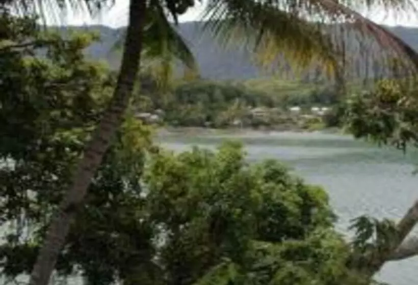 Majatalo Laster Jony S