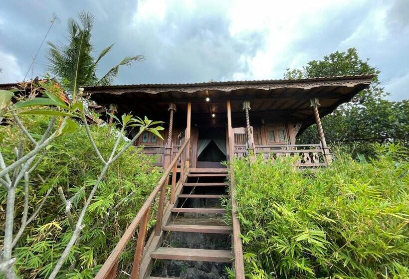 膳宿费 Villa Bantes Mps