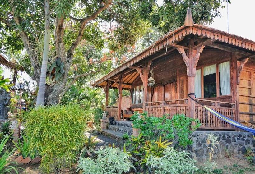 膳宿费 Villa Bantes Mps