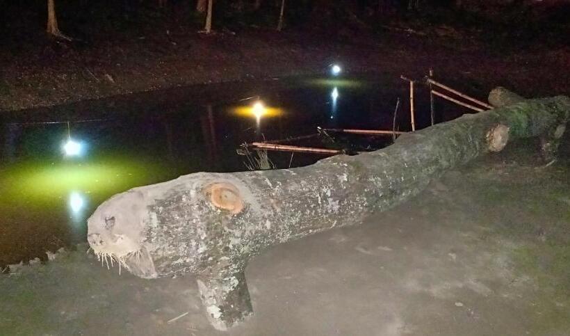 Kurort  Enchanting Majuli