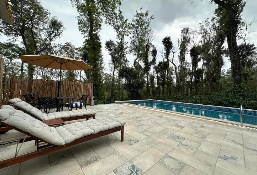 リゾートホテル Machaan Wilderness Lodge Nagarahole