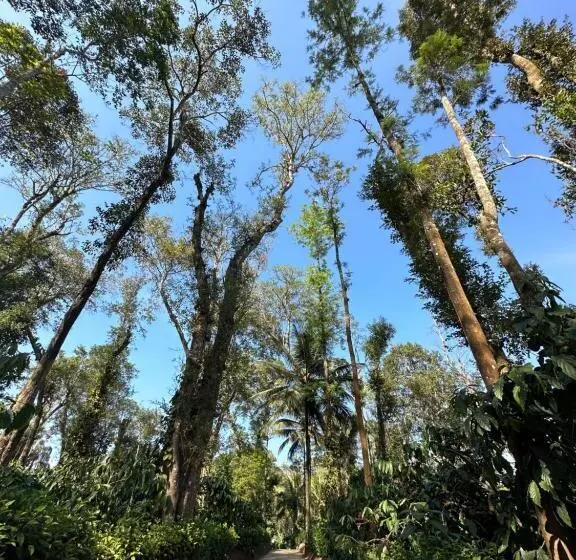 リゾートホテル Machaan Wilderness Lodge Nagarahole