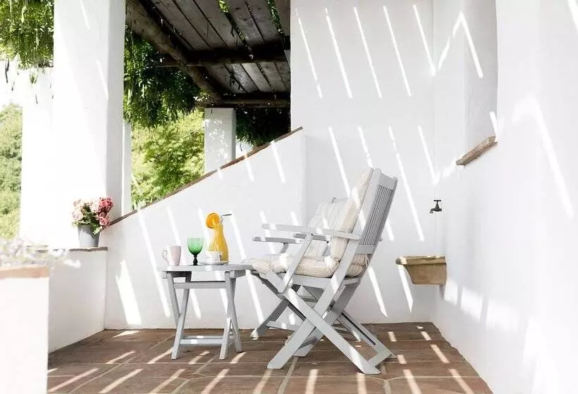 乡村酒店  Posada Morisca Charming Hotel Boutique