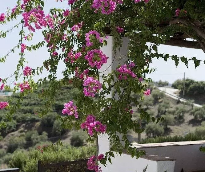 乡村酒店  Posada Morisca Charming Hotel Boutique