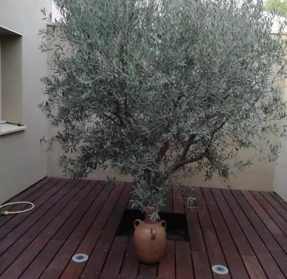 ベッドアンドブレックファースト Les Trois Oliviers