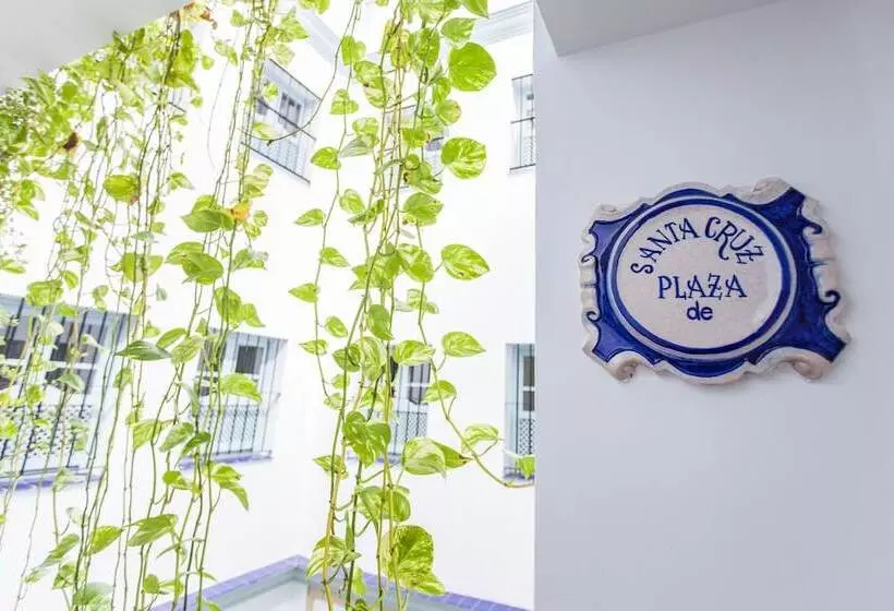 Apartamentos Suites Santa Cruz