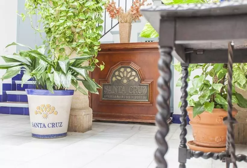 Apartamentos Suites Santa Cruz