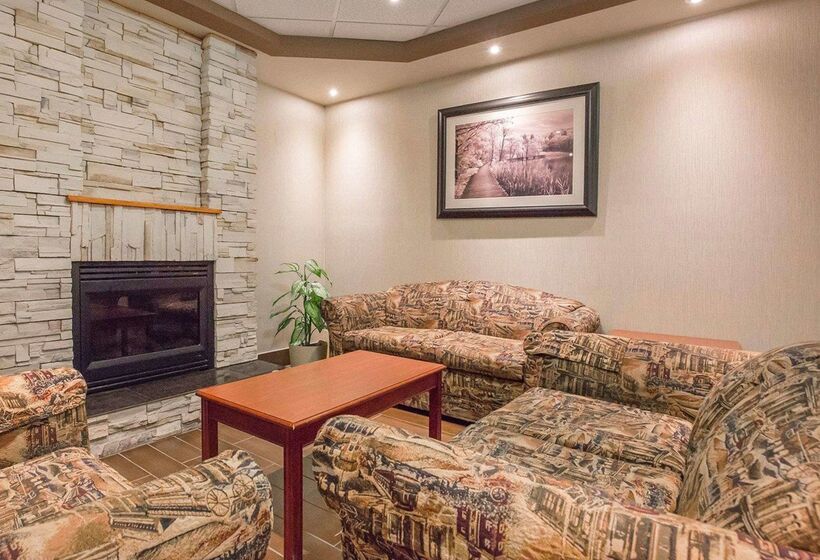 هتل Comfort Inn & Suites University