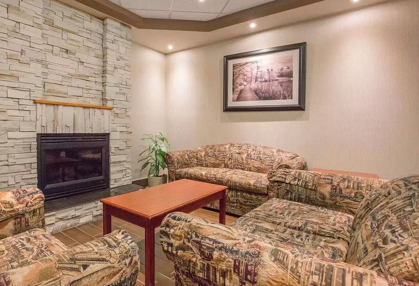 בית מלון כפרי Comfort Inn & Suites University