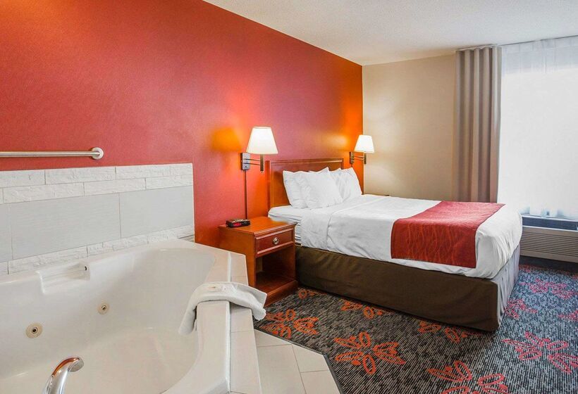 هتل Comfort Inn & Suites University