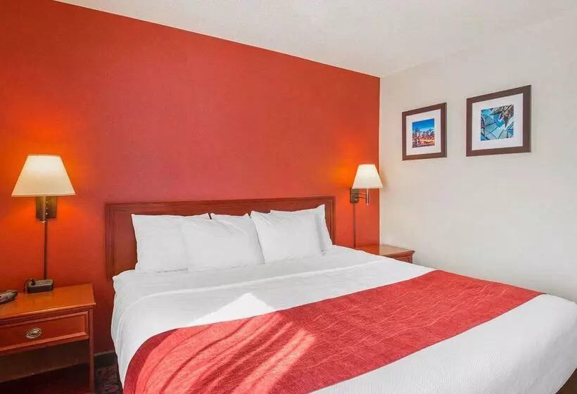 בית מלון כפרי Comfort Inn & Suites University