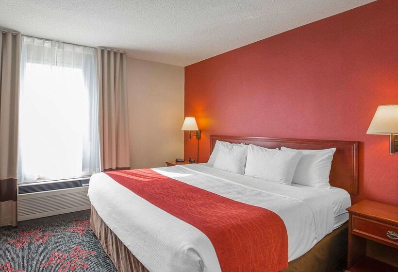 هتل Comfort Inn & Suites University