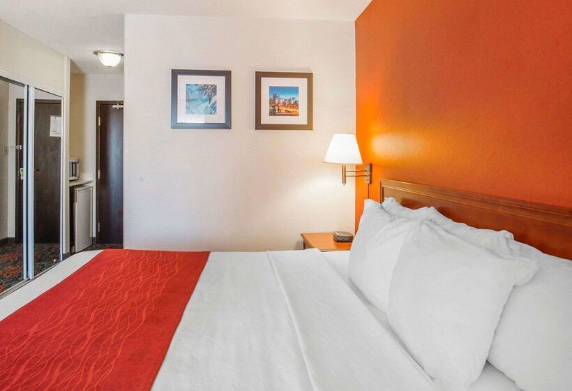 هتل Comfort Inn & Suites University