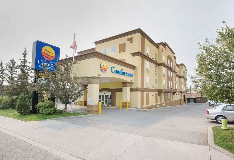 בית מלון כפרי Comfort Inn & Suites University