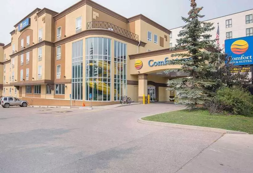 בית מלון כפרי Comfort Inn & Suites University