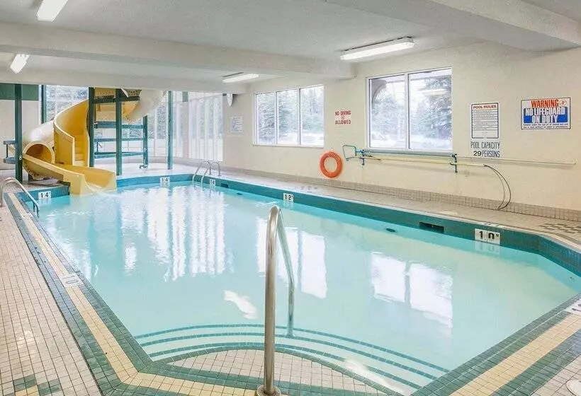 בית מלון כפרי Comfort Inn & Suites University