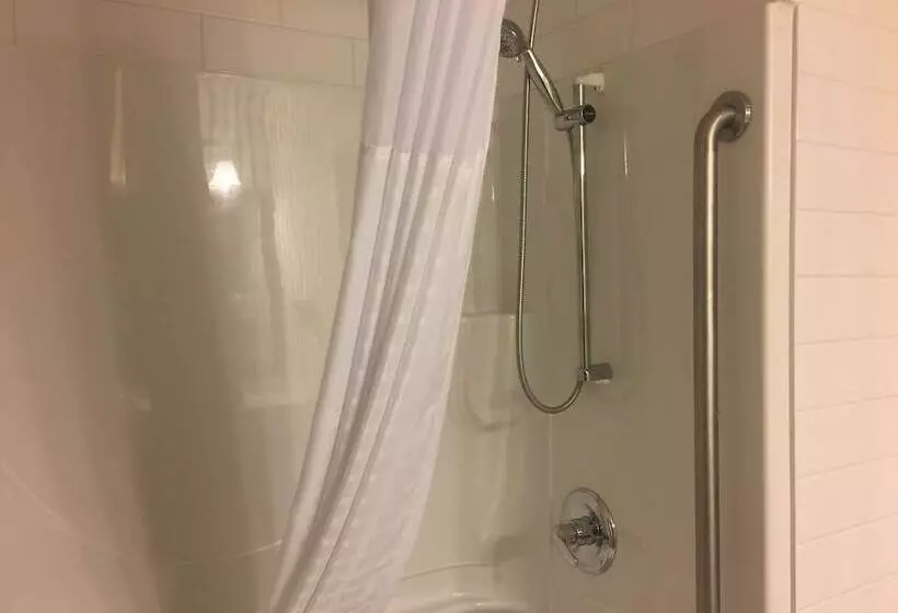 בית מלון כפרי Comfort Inn & Suites University