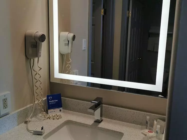 בית מלון כפרי Comfort Inn & Suites University