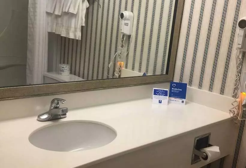 בית מלון כפרי Comfort Inn & Suites University