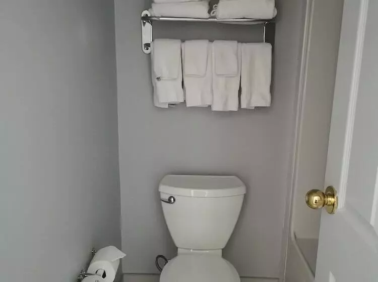 בית מלון כפרי Comfort Inn & Suites University