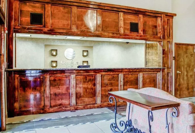 酒店 Comfort Inn Bessemer Birmingham South