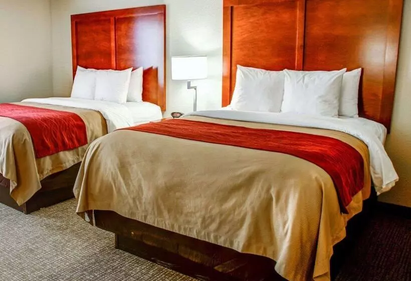 酒店 Comfort Inn Bessemer Birmingham South