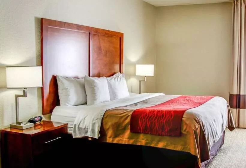 酒店 Comfort Inn Bessemer Birmingham South