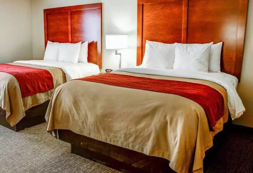 酒店 Comfort Inn Bessemer Birmingham South