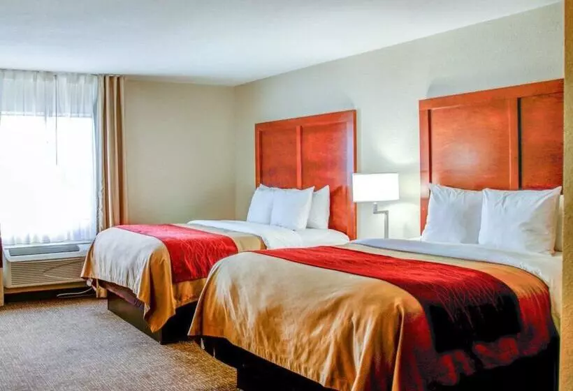 酒店 Comfort Inn Bessemer Birmingham South