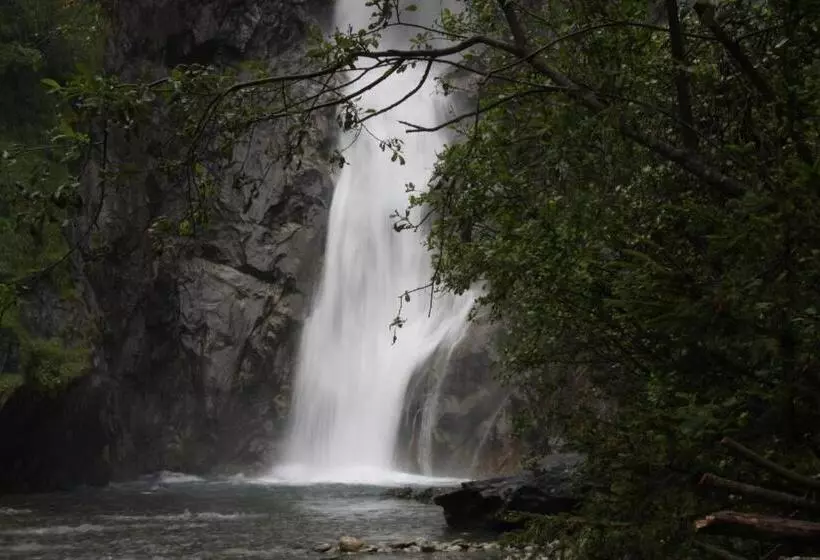 Отель La Foret De Maronne