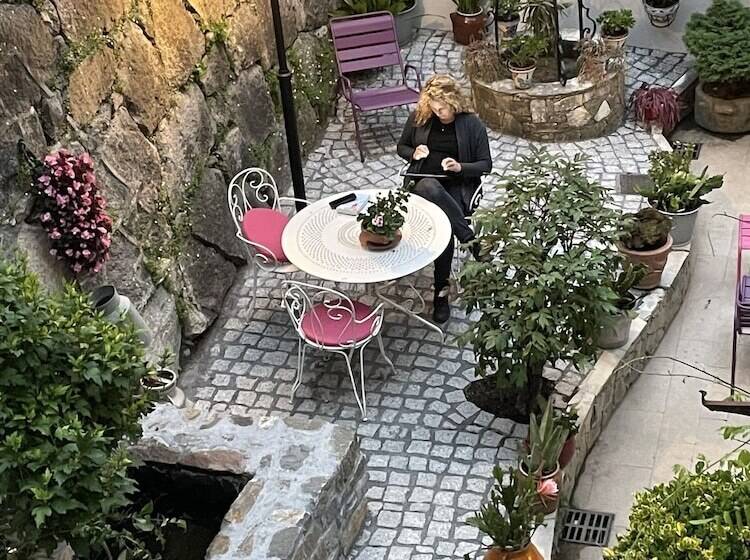 فندق Le Lion D Or