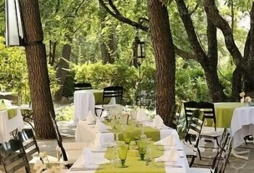 호텔 Logis Hôtel Restaurant Des Pins