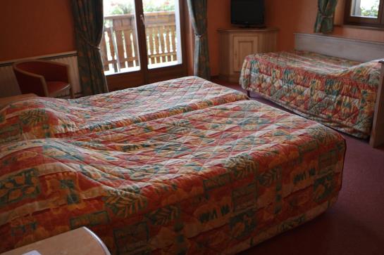 Hotel au Cep de Vigne