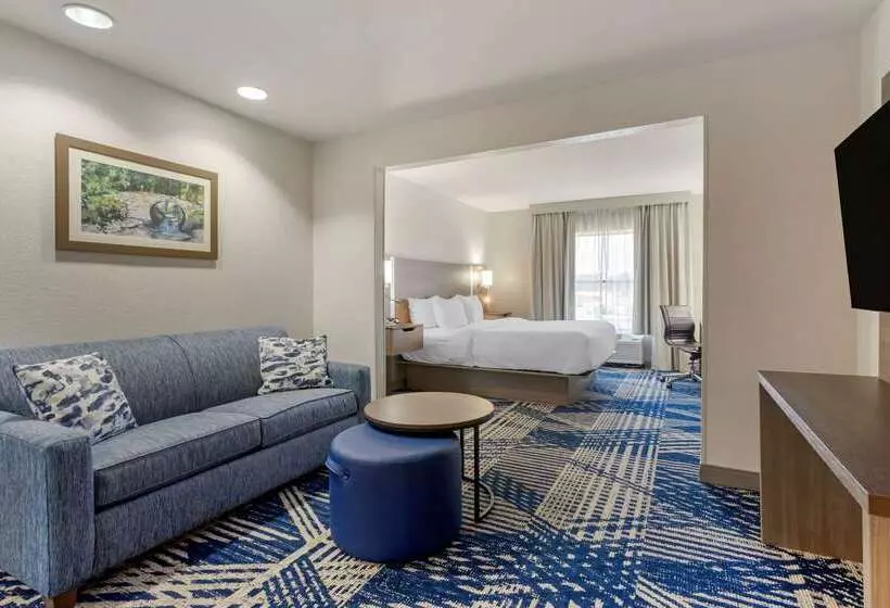 هتل Comfort Inn & Suites Hot Springs Midtown