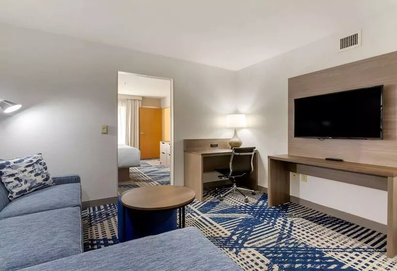 هتل Comfort Inn & Suites Hot Springs Midtown
