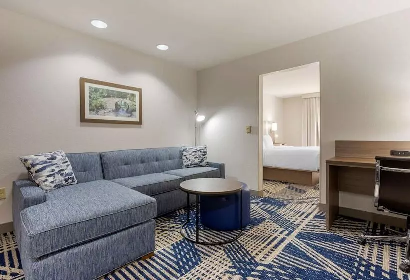 هتل Comfort Inn & Suites Hot Springs Midtown