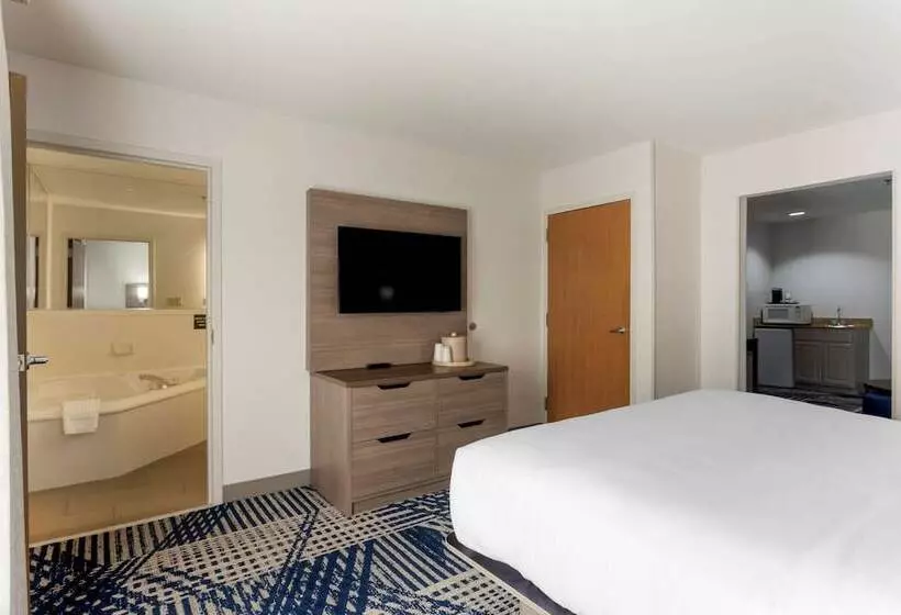 هتل Comfort Inn & Suites Hot Springs Midtown