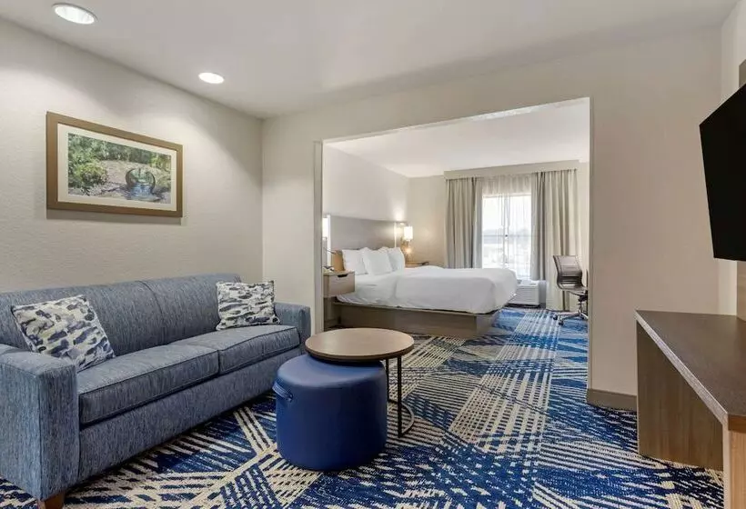 هتل Comfort Inn & Suites Hot Springs Midtown