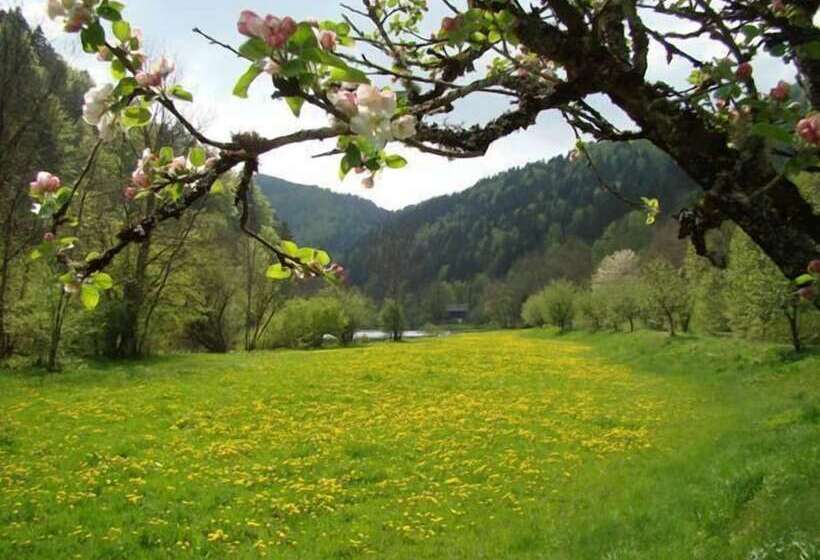 ホテル Hôtel Restaurant Le Moulin Du Plain