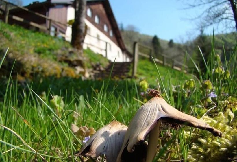 ホテル Hôtel Restaurant Le Moulin Du Plain